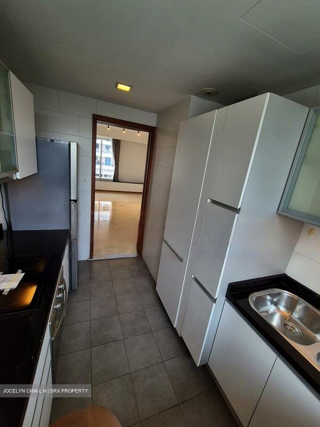 Clydes Residence (D8), Apartment #471323971